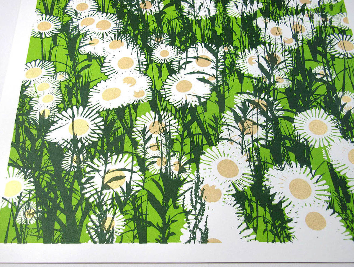Daisy Field