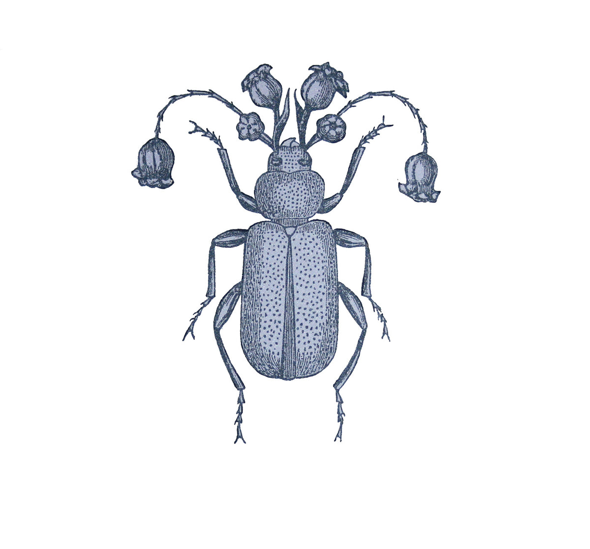 Penelope Kenny : Flower Beetle - Modern ArtBuyer