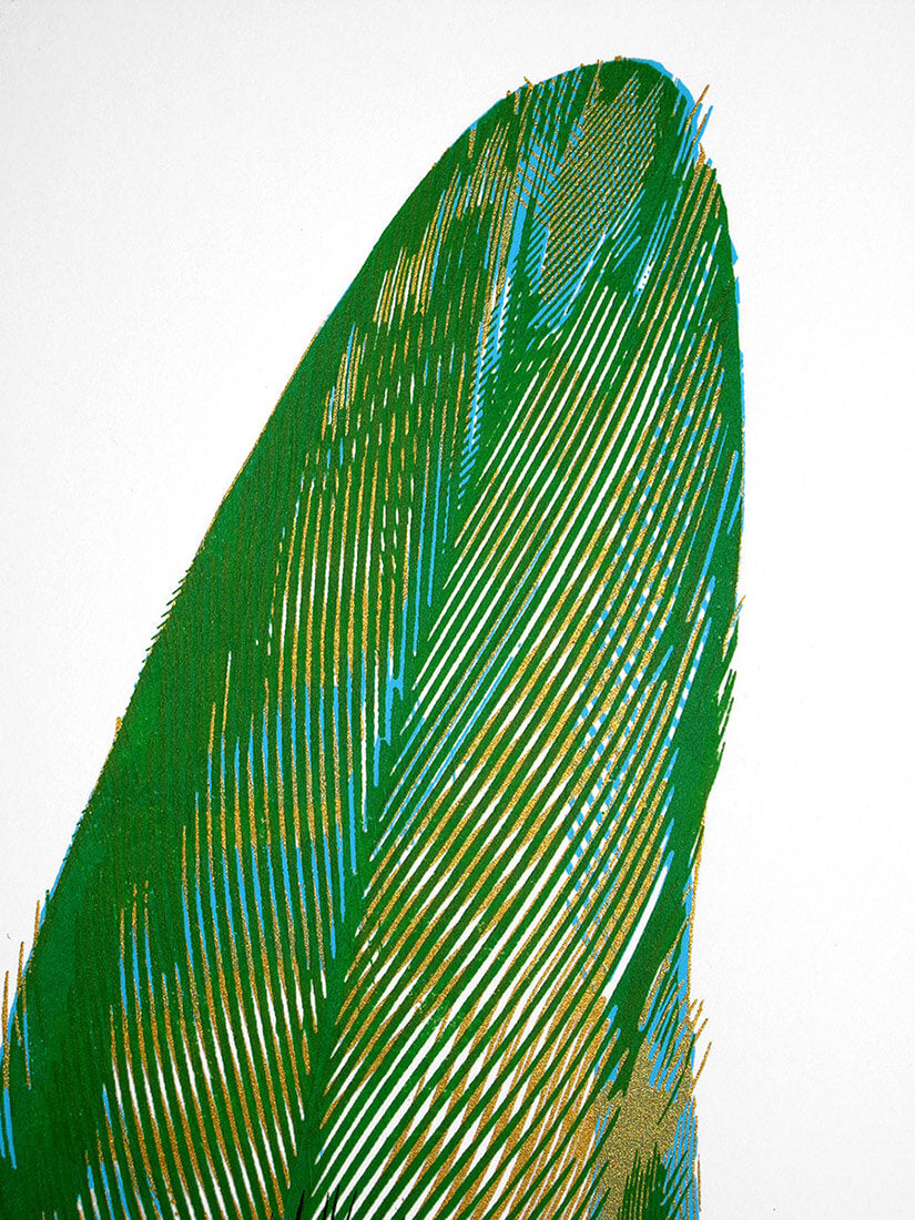 Four Feathers