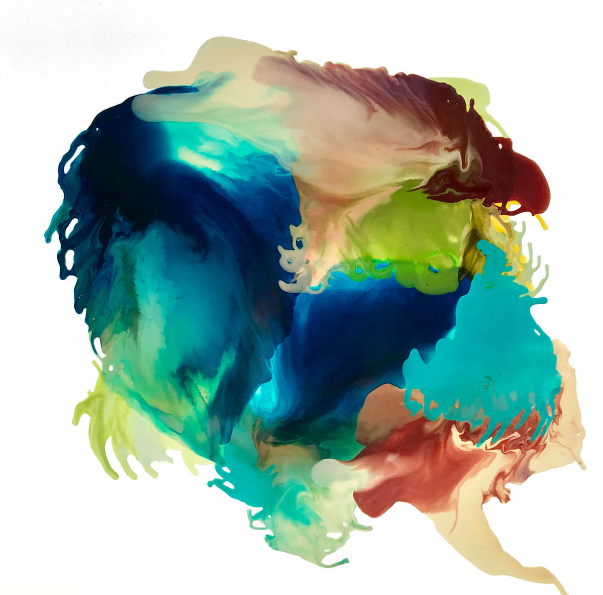 Gaia V