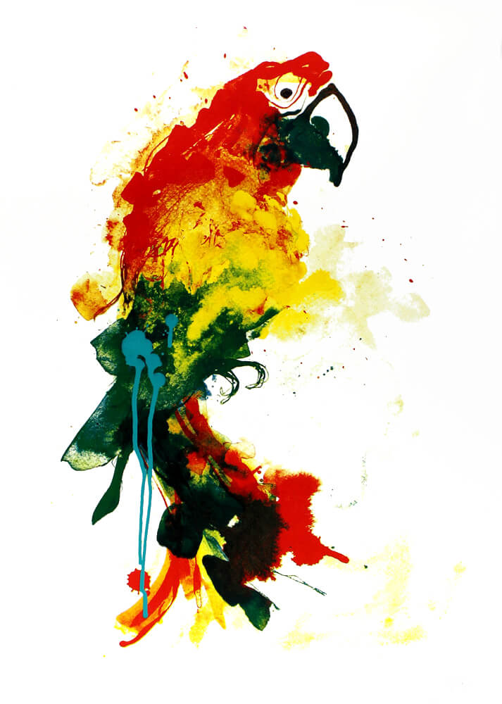 Gavin Dobson Parrot for Modern ArtBuyer