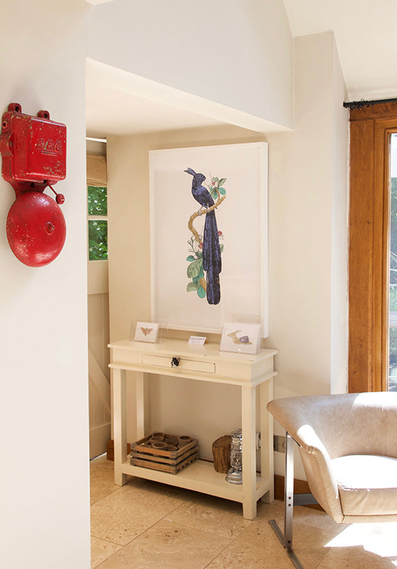 Penelope Kenny : Resplendent Rabbit-bird of Paradise - Modern ArtBuyer