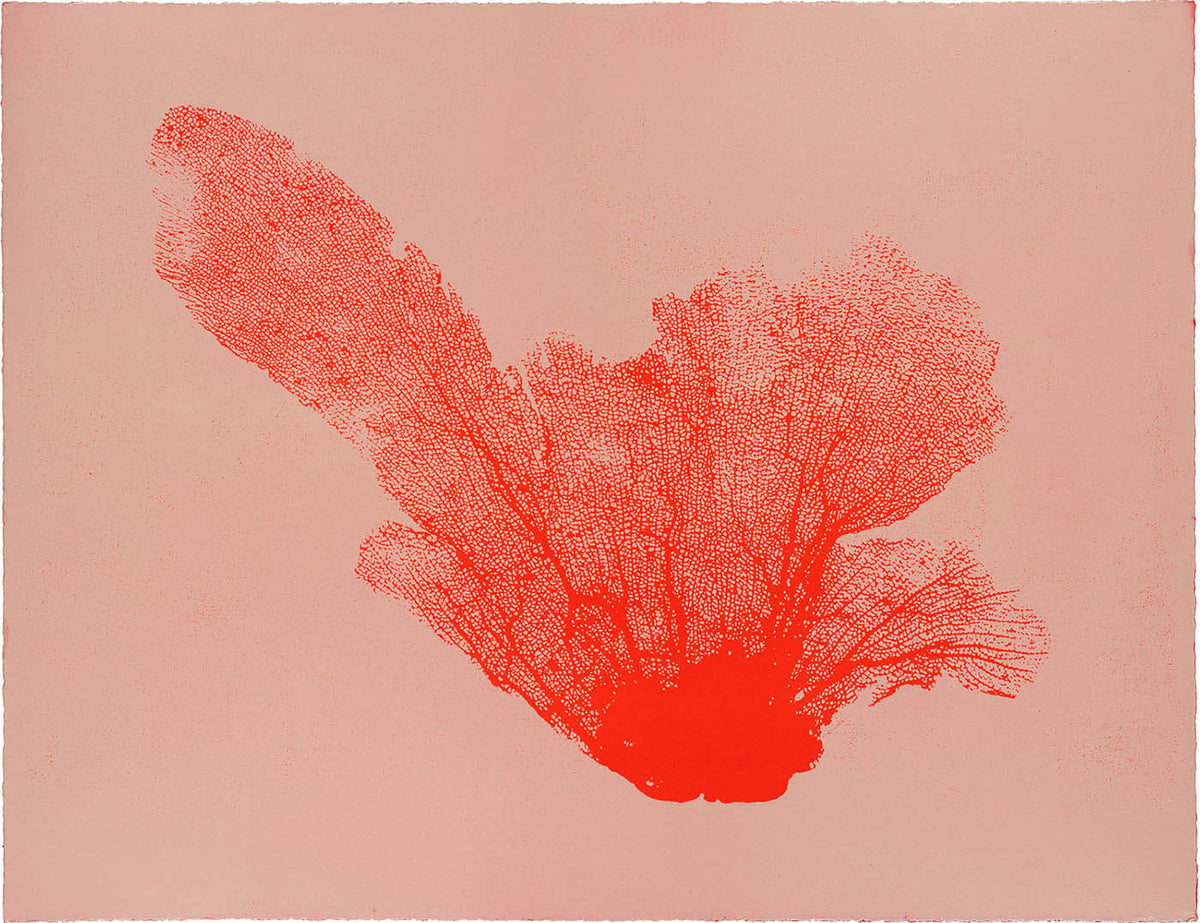 Sea Fan III (Cherry-Blush)