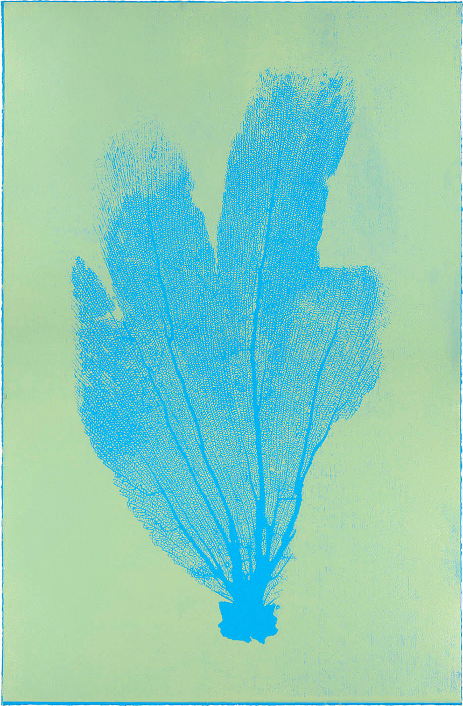 Sea Fan II (Aqua-Jade)