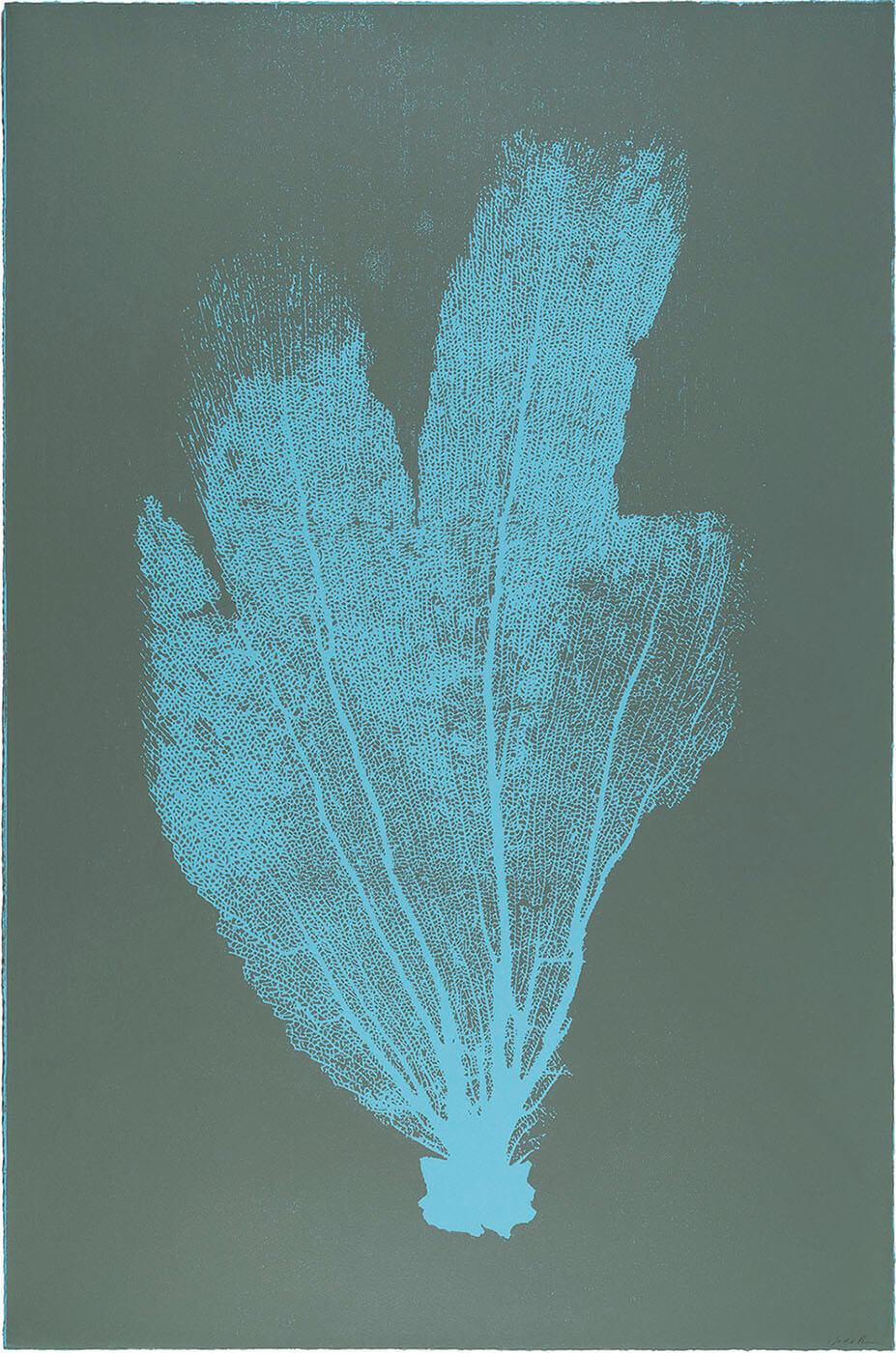 Sea Fan II (Blue-Sage)