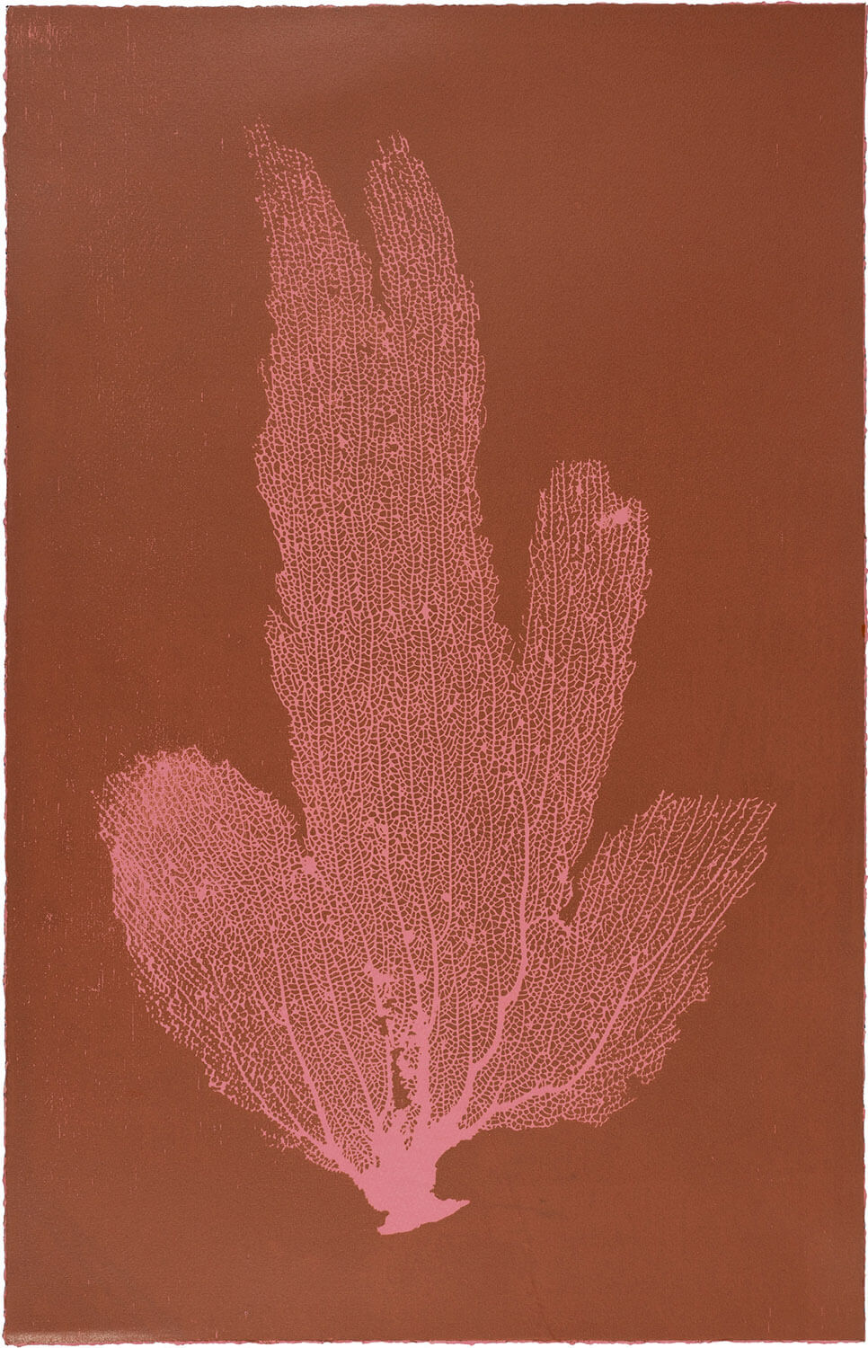 Sea Fan IV (Salmon-Cocoa)