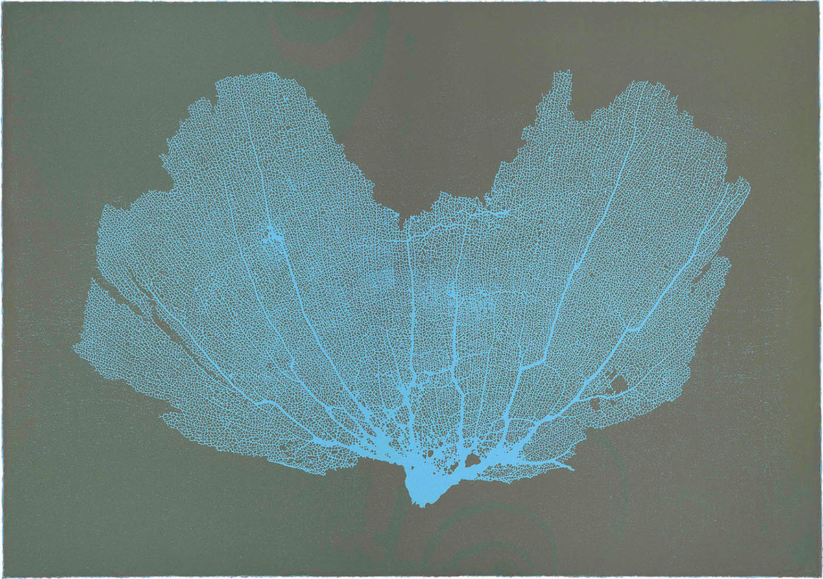 Sea Fan IX (Blue-Teal)