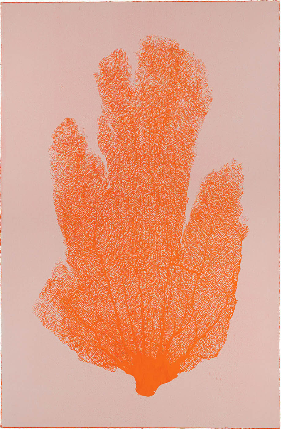 Sea Fan I (Tangerine-Blush)