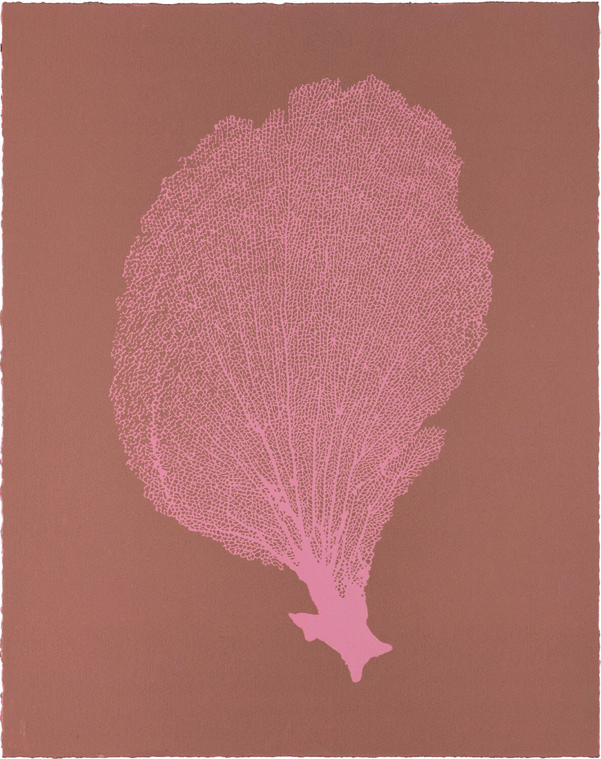 Sea Fan VI (Pink-Aubergine)
