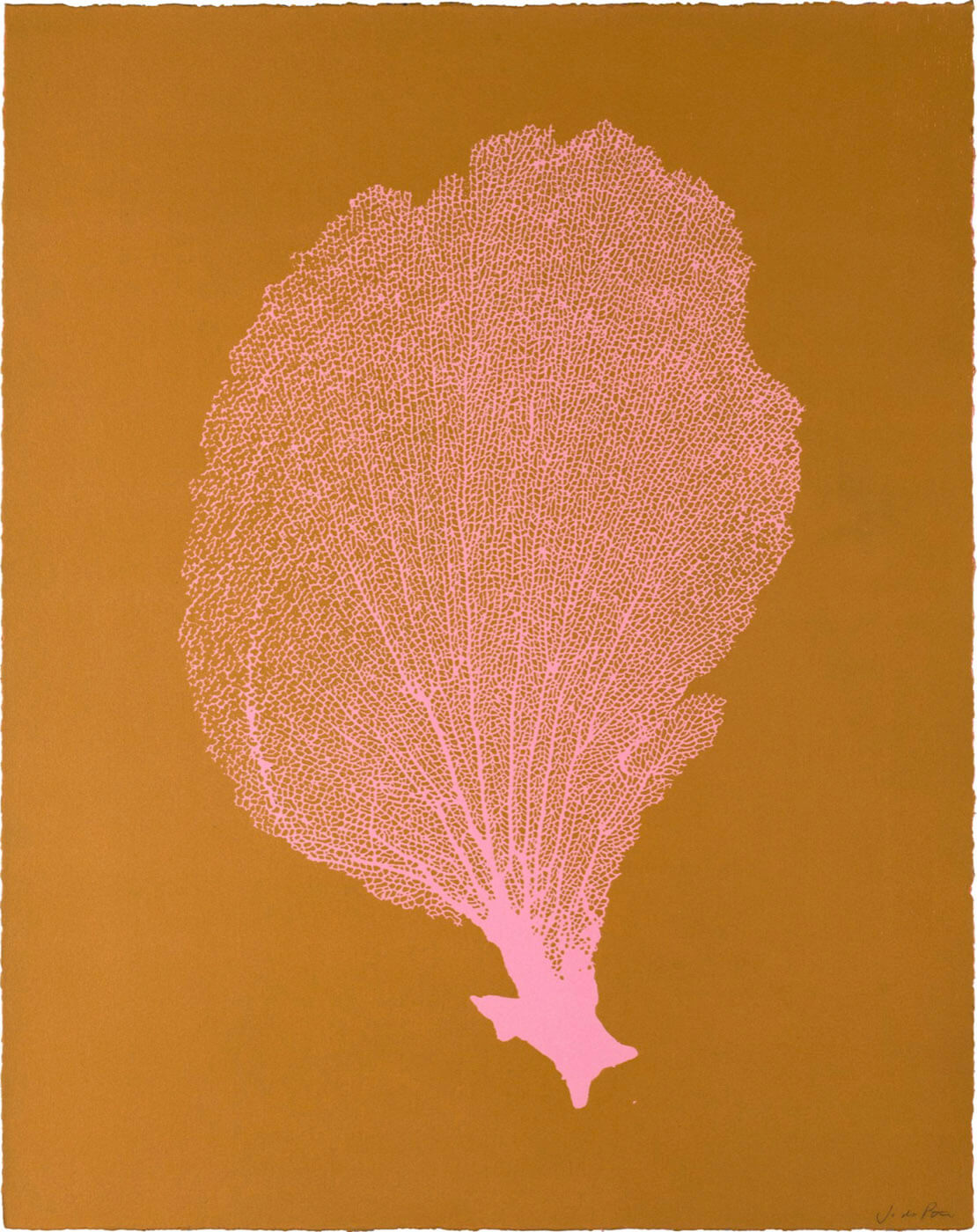 Sea Fan VI (Pink-Turmeric)