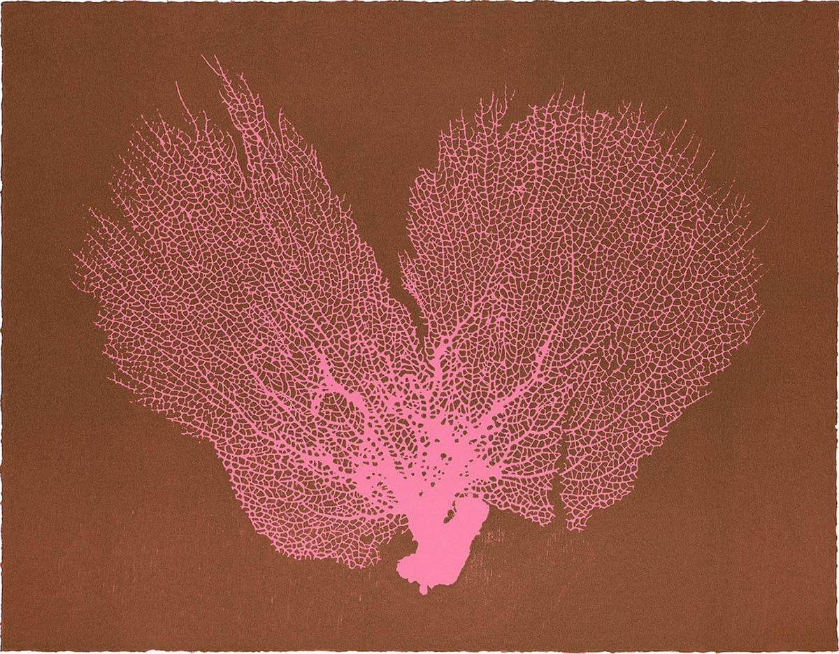 Sea Fan V (Pink-Aubergine)