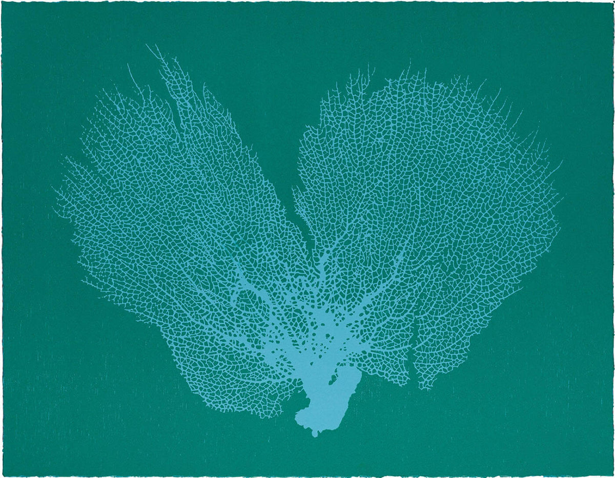 Sea Fan V (Sky Blue-Turquoise)