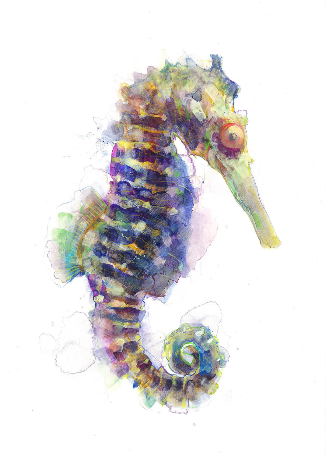 Sea Horse
