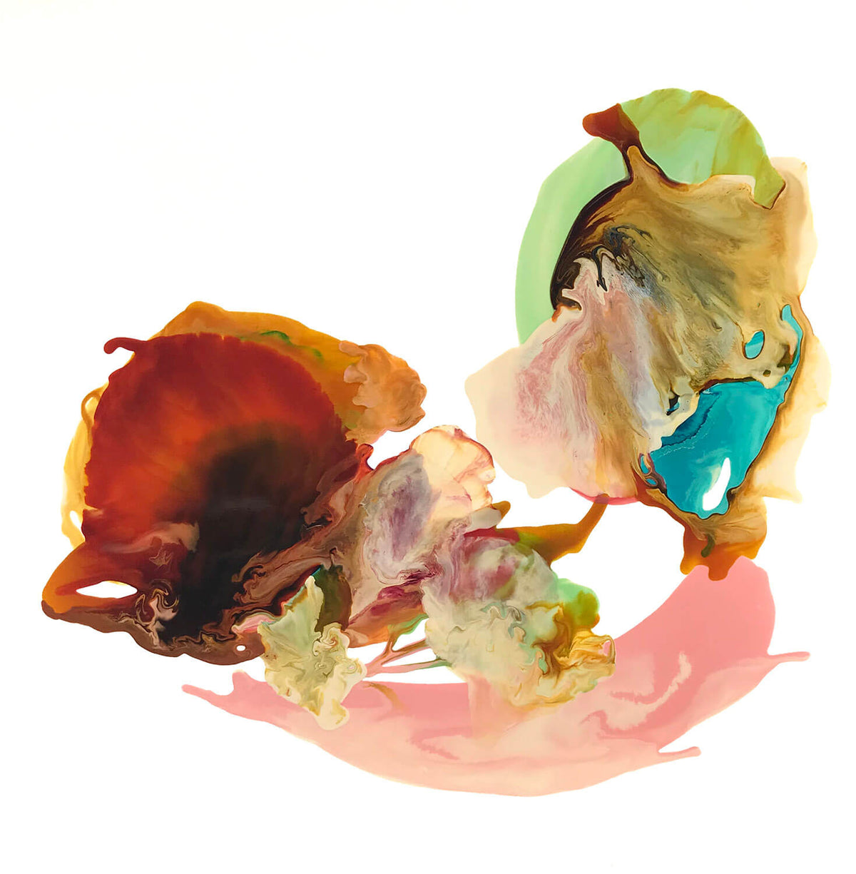 Seashell