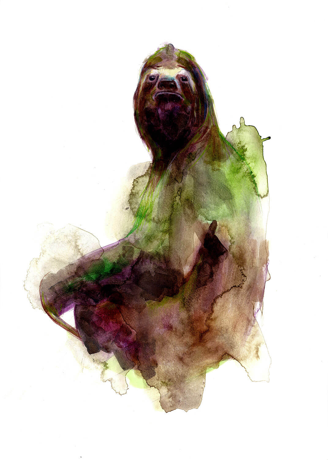 Sloth