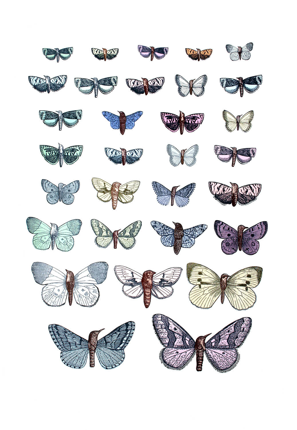 Penelope Kenny : The Transgenic Cabinet - Modern ArtBuyer