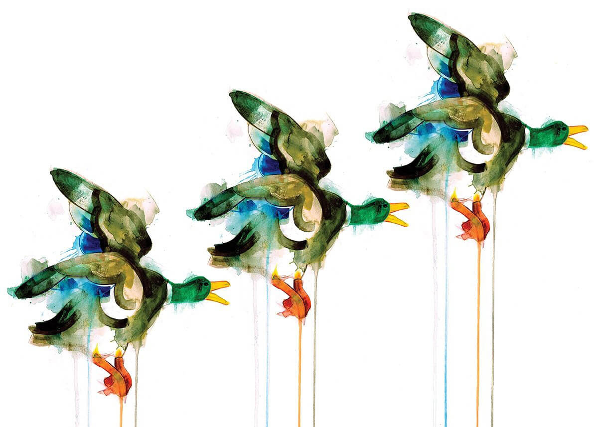 Three Flying Ducks