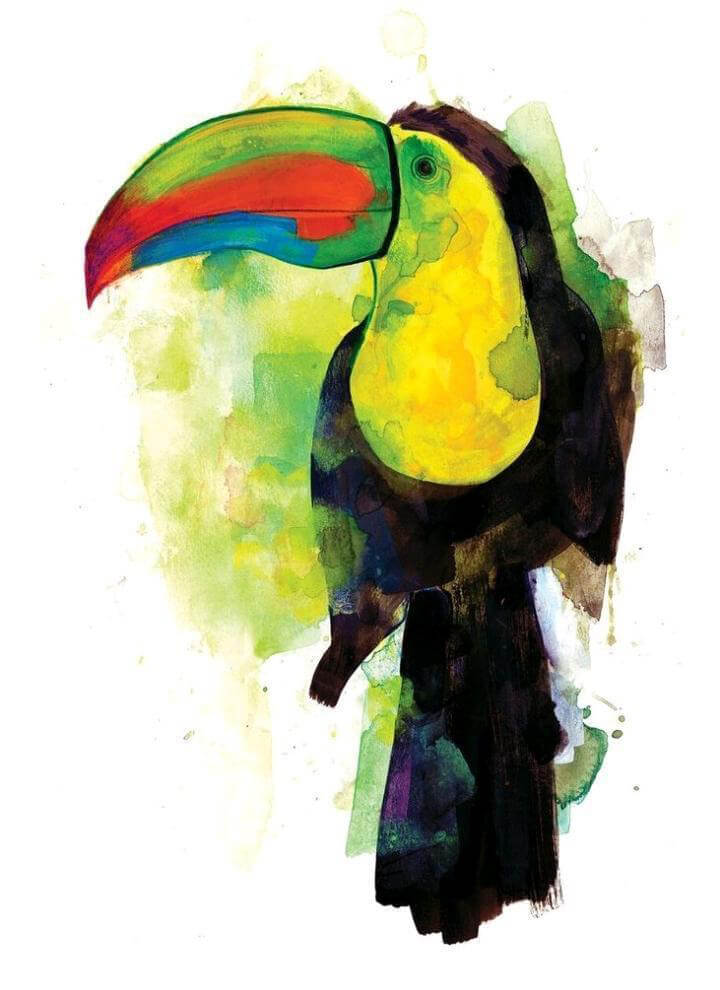 Toucan