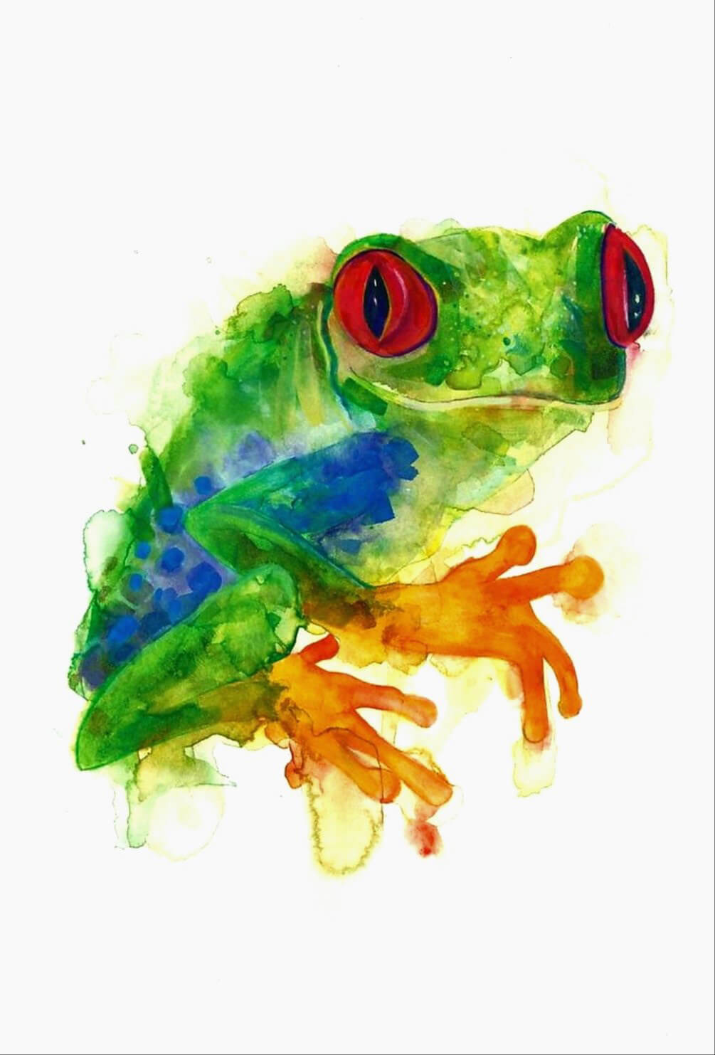 Tree Frog