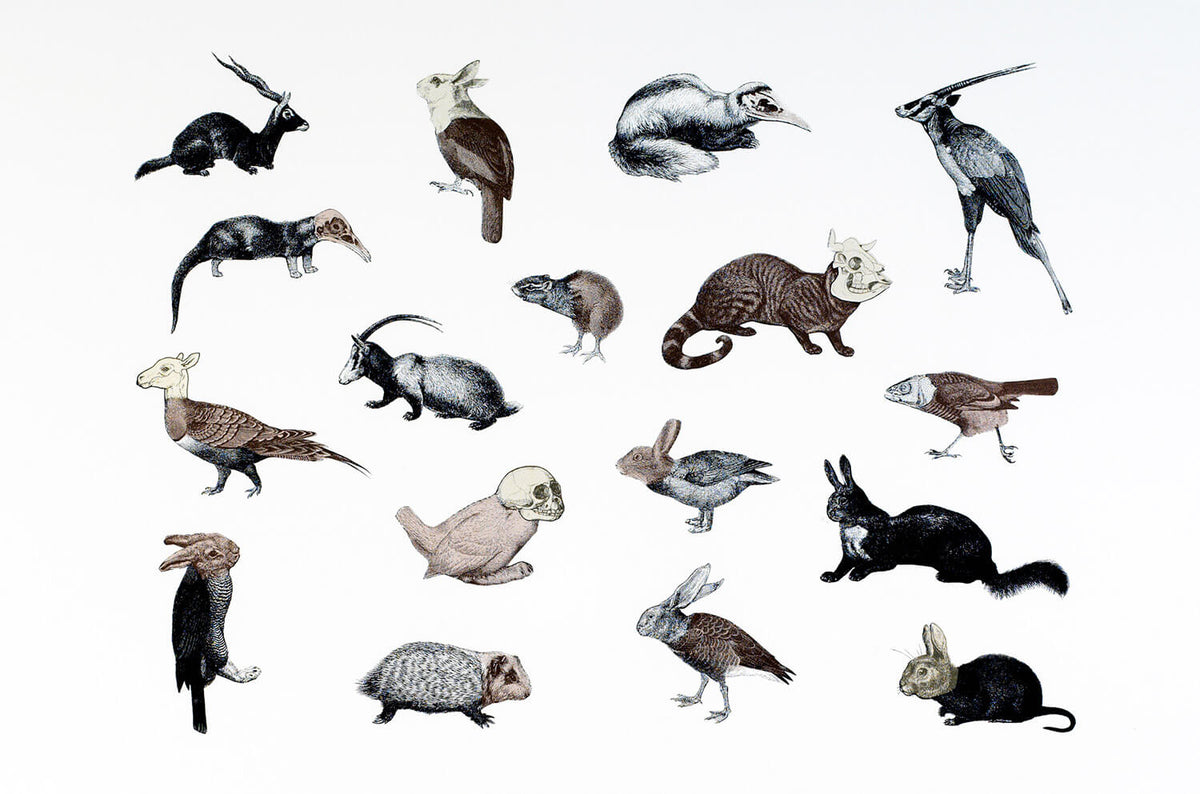 Penelope Kenny Un-natural Selection for Modern ArtBuyer