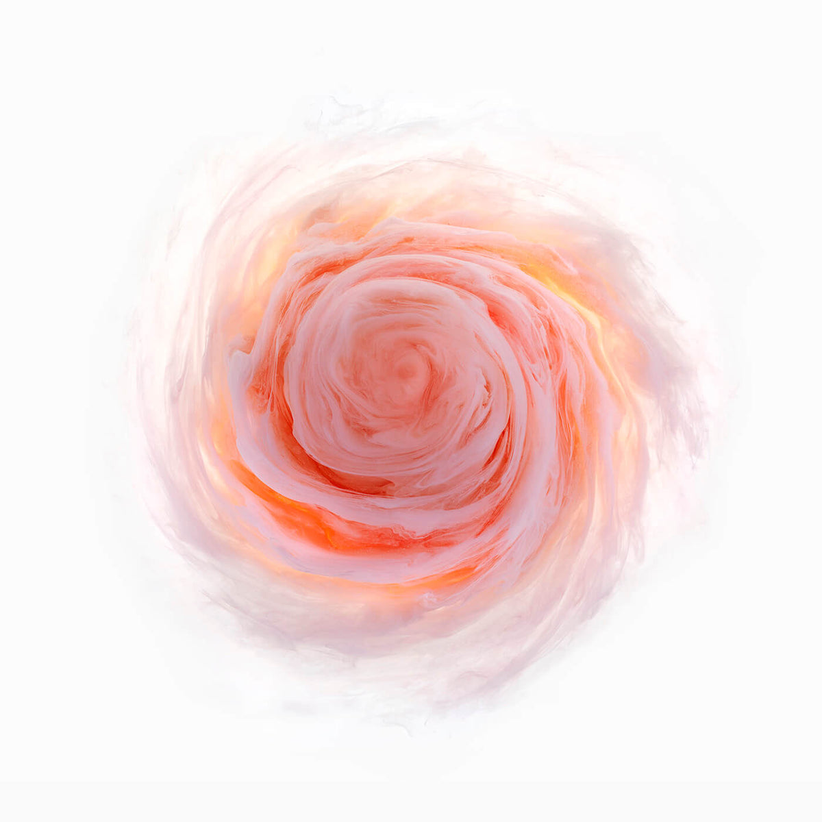 Mark Mawson Aqueous Roses 6 for Modern ArtBuyer
