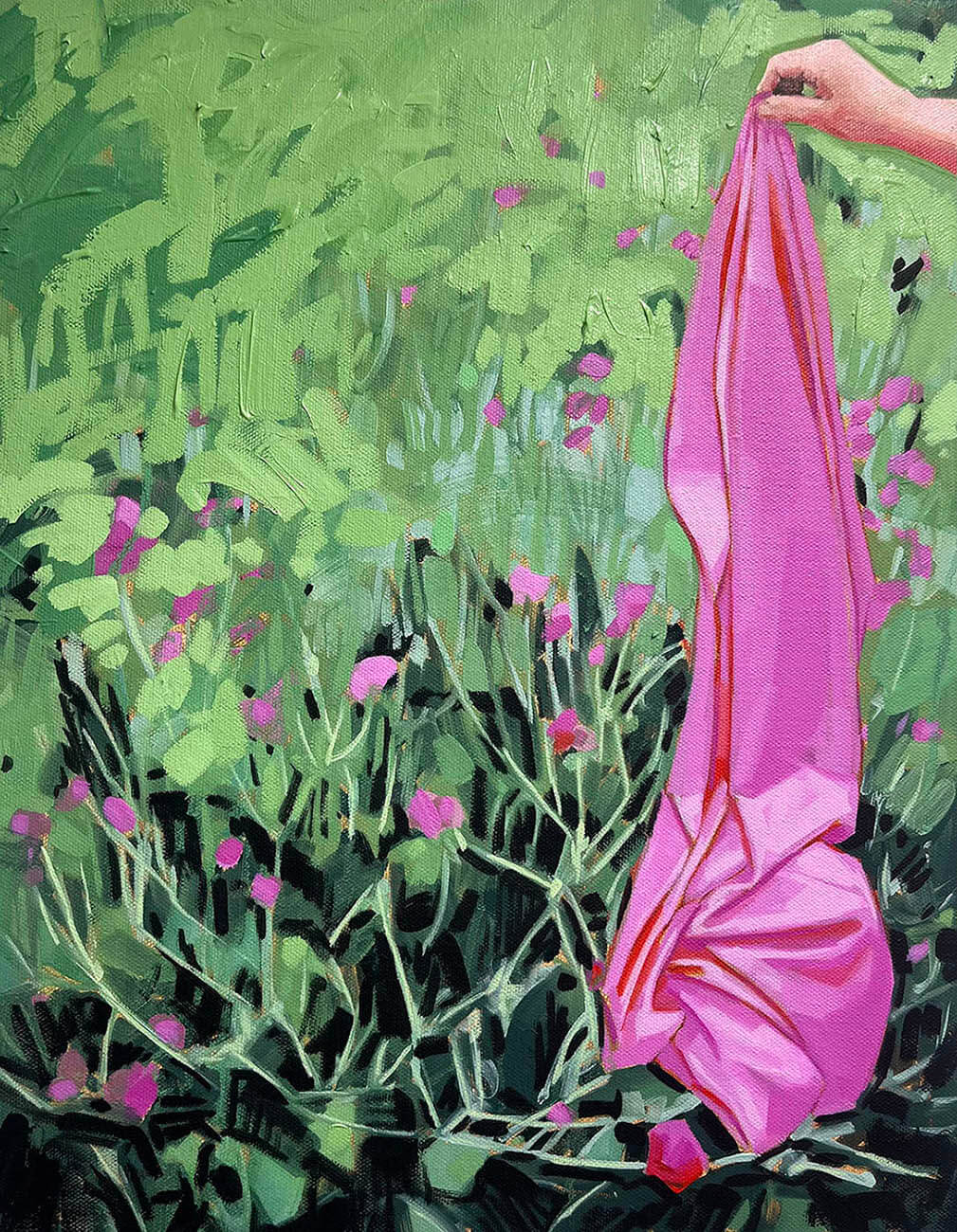Drape