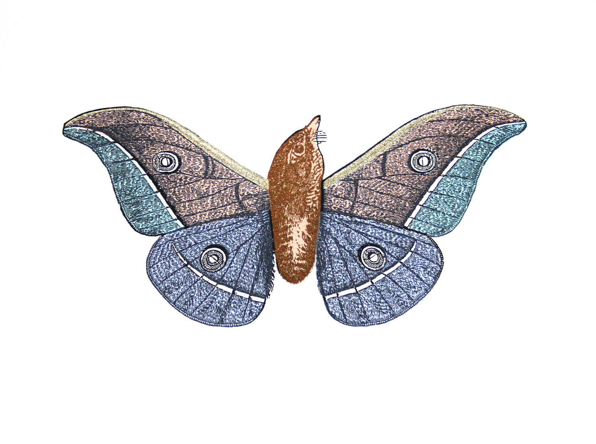 Penelope Kenny : Moth-bird 3 - Modern ArtBuyer