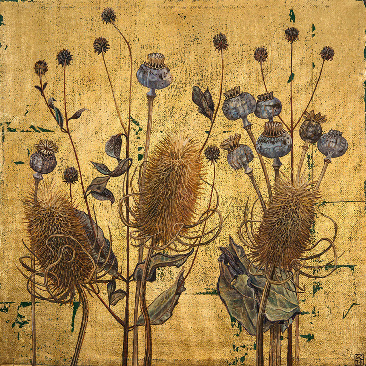 Teasels and Poppy Pods