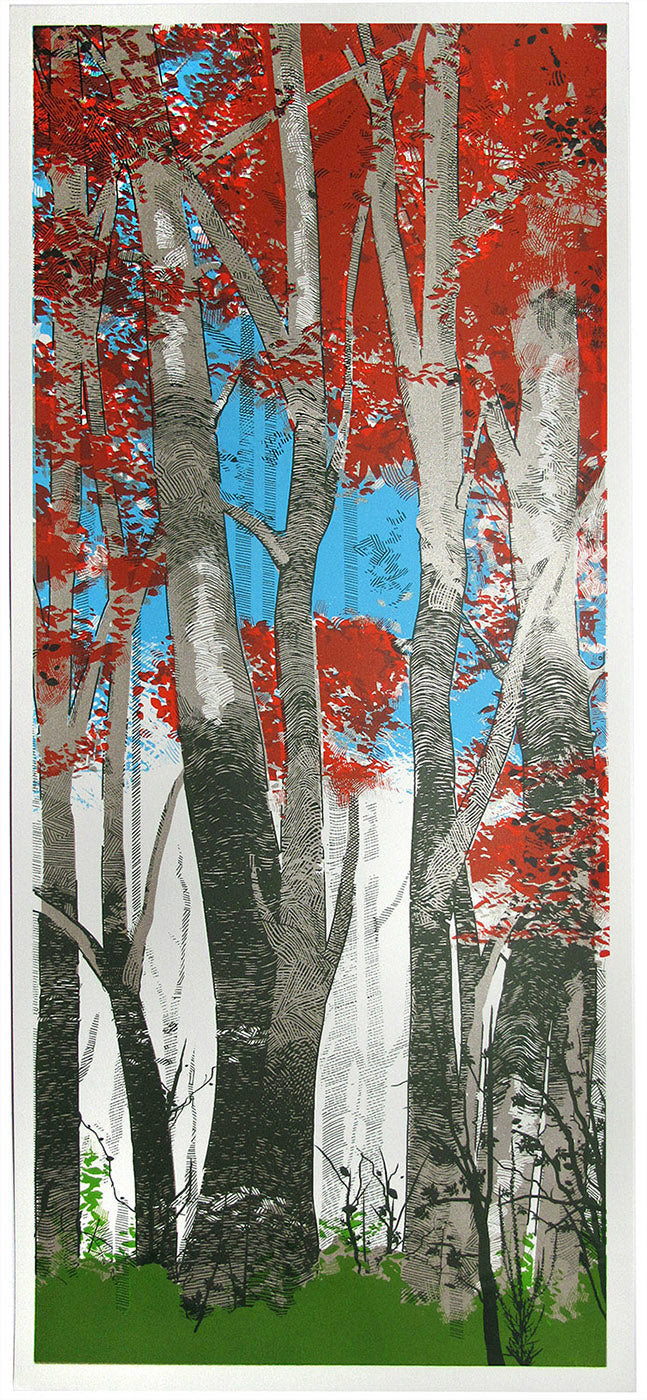 Chris Keegan Woodland Birches for Modern ArtBuyer