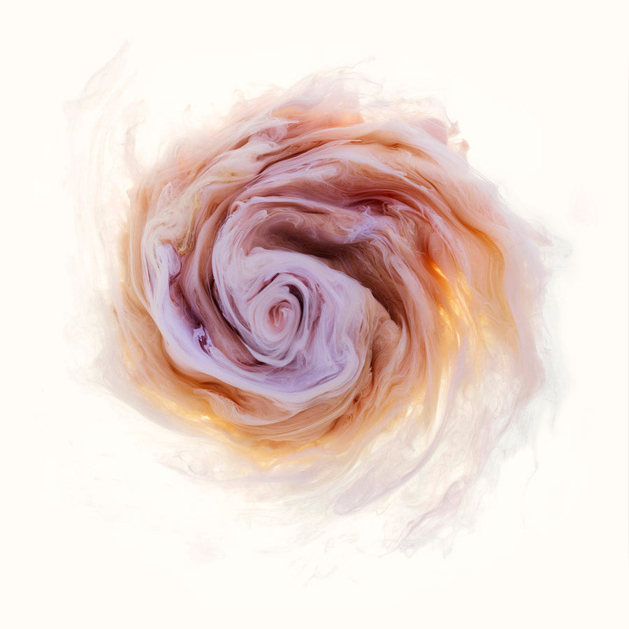 Mark Mawson Aqueous Roses 8 for Modern ArtBuyer