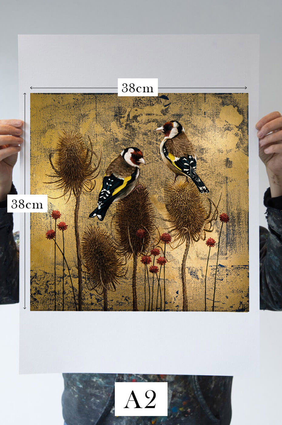 Goldfinch and Teasels